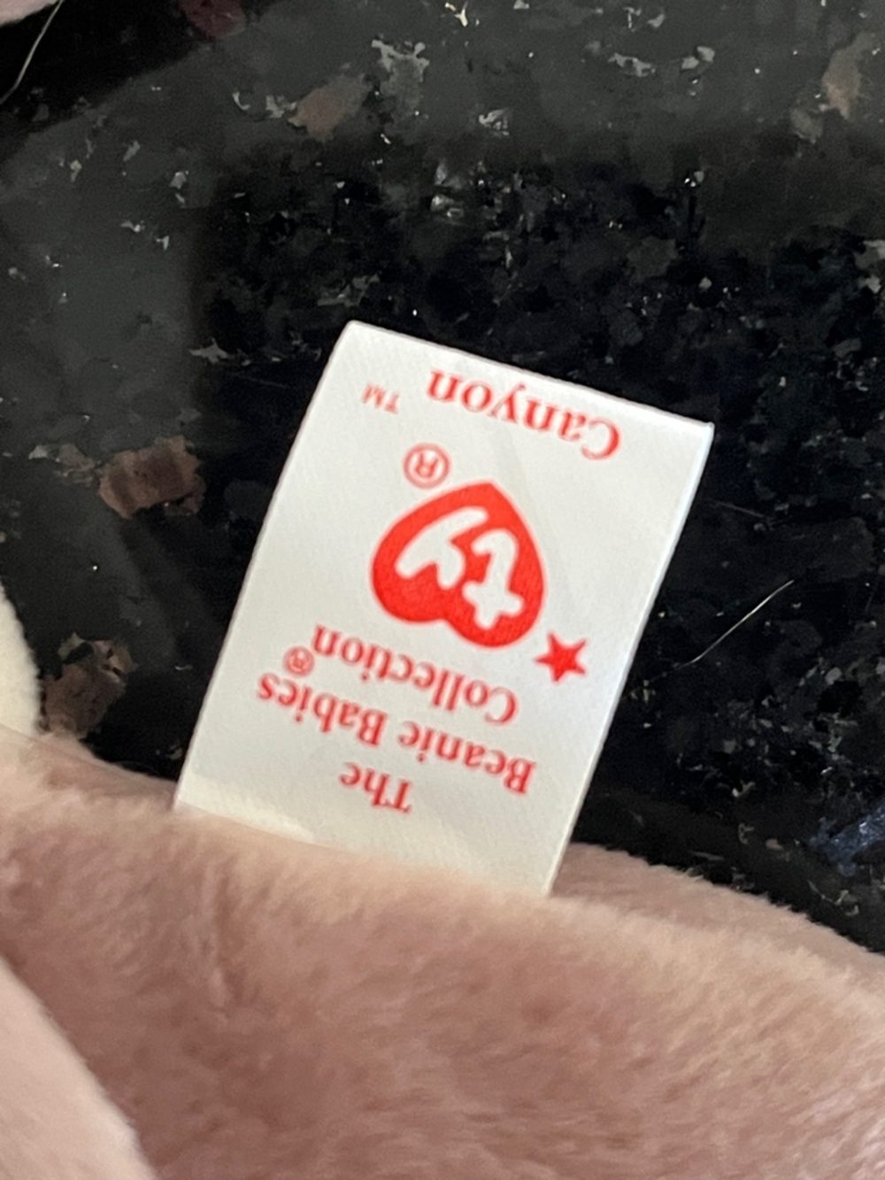 1998 Ty Beanie Baby Canyon May 29,1998 - Picture 4 of 5